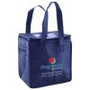 Lunch Tote  Insulated Thumbnail