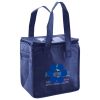 Lunch Tote  Insulated Thumbnail