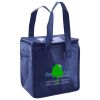 Lunch Tote  Insulated Thumbnail