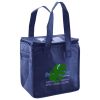 Lunch Tote  Insulated Thumbnail