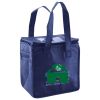 Lunch Tote  Insulated Thumbnail
