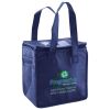 Lunch Tote  Insulated Thumbnail