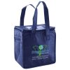 Lunch Tote  Insulated Thumbnail