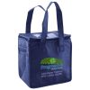 Lunch Tote  Insulated Thumbnail
