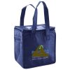 Lunch Tote  Insulated Thumbnail