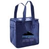Lunch Tote  Insulated Thumbnail