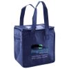 Lunch Tote  Insulated Thumbnail