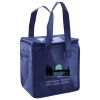 Lunch Tote  Insulated Thumbnail