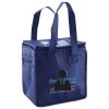Lunch Tote  Insulated Thumbnail