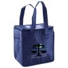 Lunch Tote  Insulated Thumbnail
