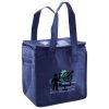 Lunch Tote  Insulated Thumbnail