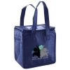 Lunch Tote  Insulated Thumbnail