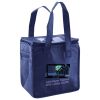 Lunch Tote  Insulated Thumbnail