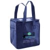 Lunch Tote  Insulated Thumbnail