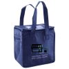 Lunch Tote  Insulated Thumbnail