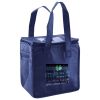 Lunch Tote  Insulated Thumbnail