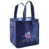 Lunch Tote  Insulated Thumbnail