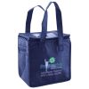 Lunch Tote  Insulated Thumbnail