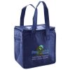 Lunch Tote  Insulated Thumbnail