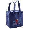 Lunch Tote  Insulated Thumbnail
