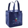 Lunch Tote  Insulated Thumbnail