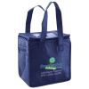 Lunch Tote  Insulated Thumbnail