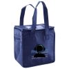 Lunch Tote  Insulated Thumbnail