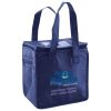 Lunch Tote  Insulated Thumbnail