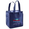 Lunch Tote  Insulated Thumbnail