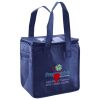Lunch Tote  Insulated Thumbnail