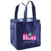 Lunch Tote  Insulated Thumbnail