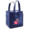 Lunch Tote  Insulated Thumbnail