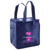 Lunch Tote  Insulated Thumbnail