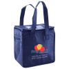 Lunch Tote  Insulated Thumbnail