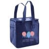 Lunch Tote  Insulated Thumbnail