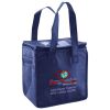 Lunch Tote  Insulated Thumbnail