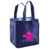 Lunch Tote  Insulated Thumbnail