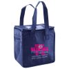 Lunch Tote  Insulated Thumbnail