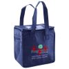 Lunch Tote  Insulated Thumbnail