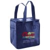 Lunch Tote  Insulated Thumbnail
