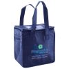 Lunch Tote  Insulated Thumbnail