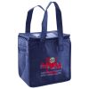 Lunch Tote  Insulated Thumbnail