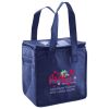 Lunch Tote  Insulated Thumbnail