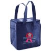 Lunch Tote  Insulated Thumbnail