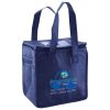 Lunch Tote  Insulated Thumbnail