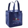 Lunch Tote  Insulated Thumbnail