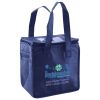 Lunch Tote  Insulated Thumbnail