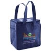 Lunch Tote  Insulated Thumbnail