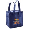 Lunch Tote  Insulated Thumbnail