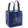 Lunch Tote  Insulated Thumbnail